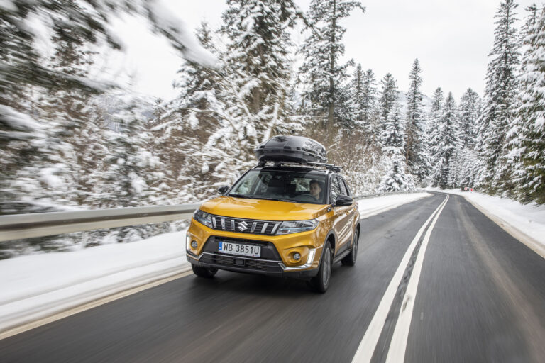 Sezonowa kontrola auta suzuki