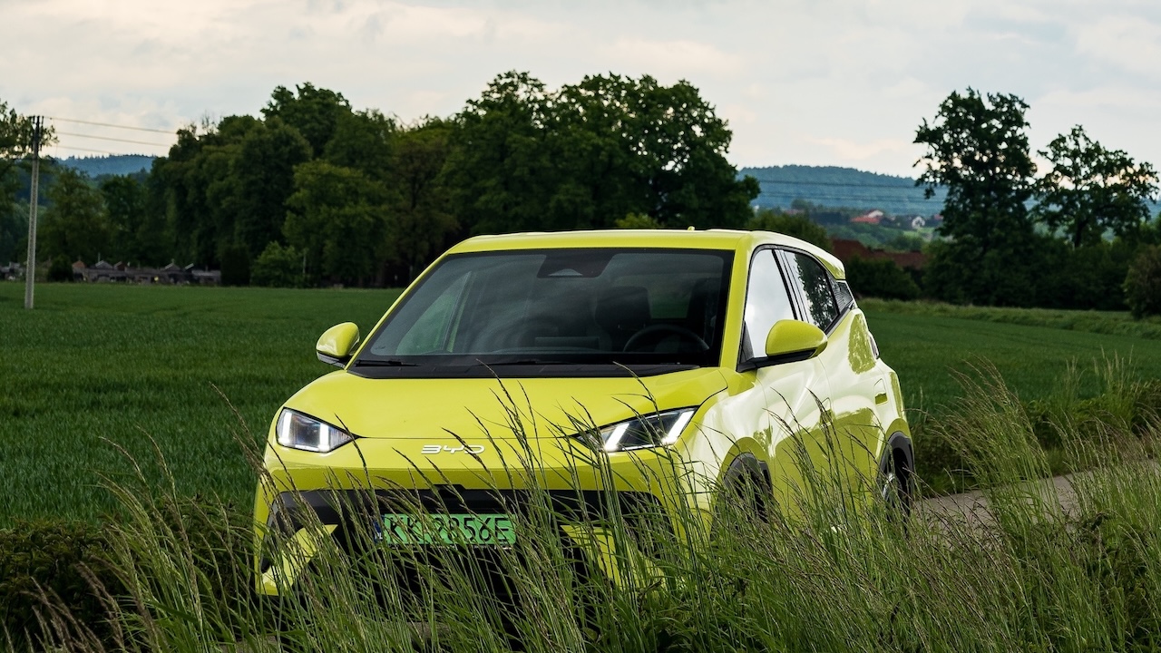 BYD DOLPHIN Surf częściowo ukryty w trawie, na tle pól i lasu