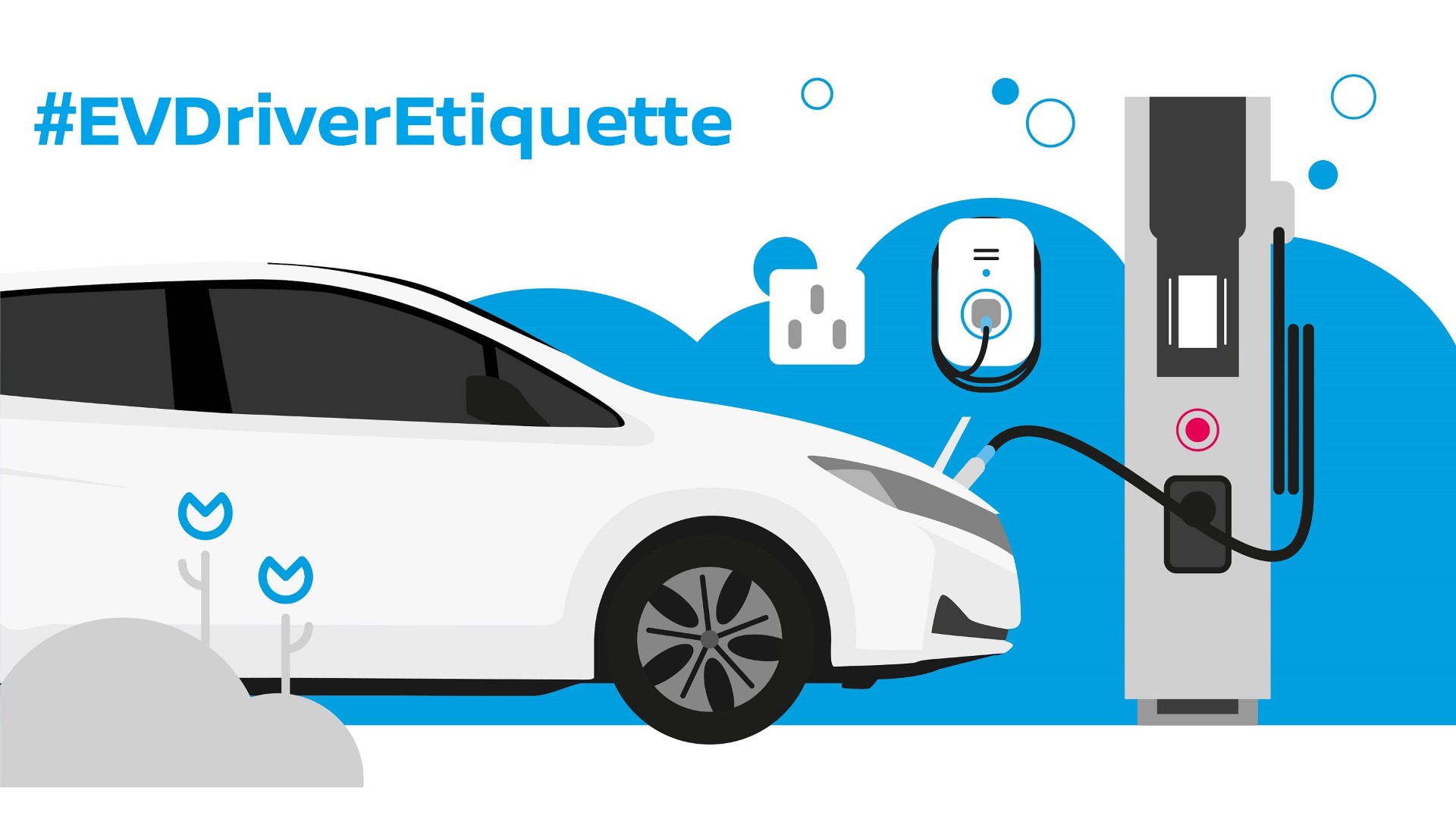 EVDriveretiquette source