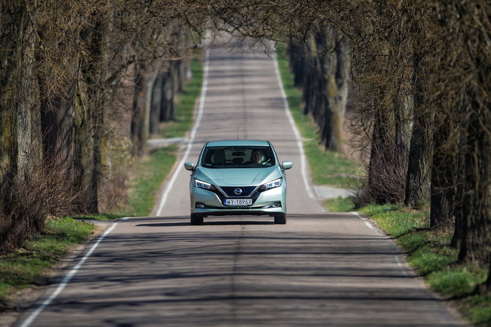 Nissan Leaf DSC2936s source