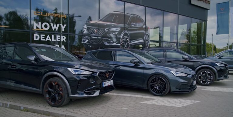 Cupra Tribe