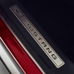 Ford mustang mach e